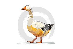 goose duck standing animals isolated