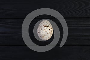 Oca uova sul nero di legno 