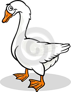Goose farm bird animal cartoon illustration photo