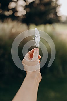 goose feather conceptual warmth softness light fluff