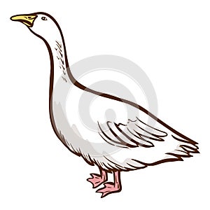 Goose hand drawn icon. Domestic bird. Waterbird large with long neck, short legs.