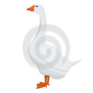 Goose illustration isolated on a white background