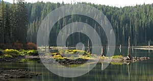 Goose Lake - Wa - Gifford Pinchot National Forest