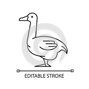 Goose linear icon