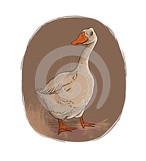 Goose. Retro style illustration.