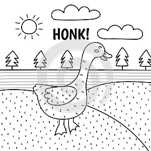 Goose saying honk black and white print. Cute farm character on a green pasture making a sound