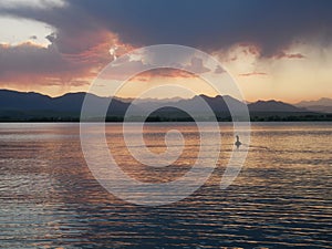 Goose on Standley Lake at sunset