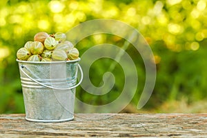 Gooseberries in a bucket on a background of green