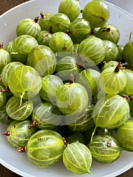 Gooseberries closeup