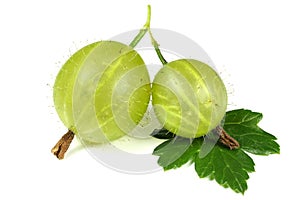 Gooseberries