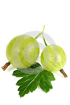 Gooseberries
