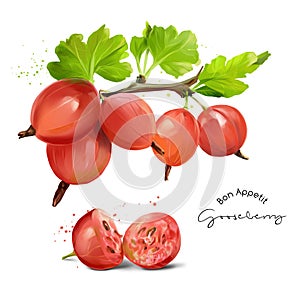 Gooseberries and splashes of watercolor painting
