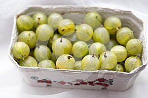 Gooseberry in cartoon punnet, daylight