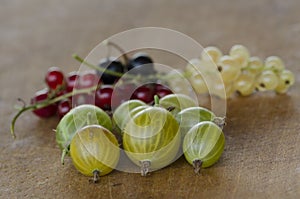 Gooseberry with white, red and black currant