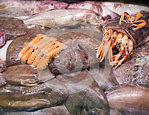 Goosefish and other seafood on market counter