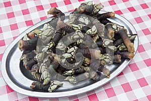 Gooseneck barnacles photo