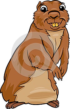 Gopher animal cartoon illustration