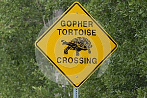 Gopher Tortoise Crossing Road Sign