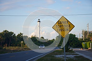 Gopher Tortoise Crossing sign, Florida