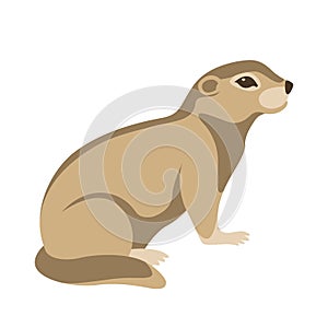 Gopher vector illustration flat style profile side