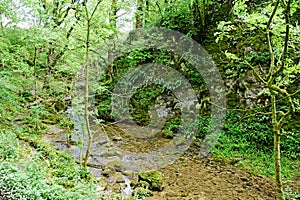 Gordale Beck, near Janet`s Foss Waterfall, Malham Cove, Yorkshire Dales, England, UK