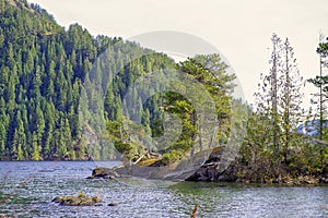 Gordon Bay Park at Cowichan Lake in Vancouver Island, Canada