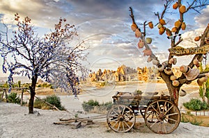 Goreme, Turkey - September 23, 2015: Tree Of Wishes with clay pots in Cappadocia. Nevsehir Province, Cappadocia, Turkey