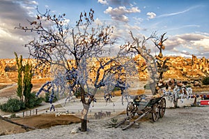 Goreme, Turkey - September 23, 2015: Tree Of Wishes with clay pots in Cappadocia. Nevsehir Province, Cappadocia, Turkey