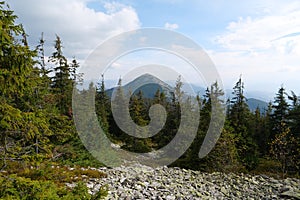 Gorgany - mountain range in Western Ukraine. View to Hamster mount