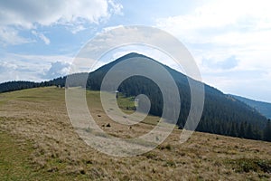 Gorgany - mountain range in Western Ukraine. View to Hamster mount