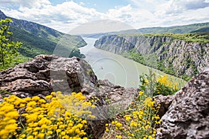 Gorge on the Danube river Beautiful view Nature landscape