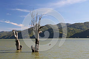 The Gorge of the Danube river seen from the Romanian bank. The Serbian bank the right bank of the river in background.