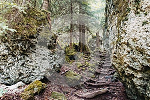Gorge du Chauderon wild hiking trail photo