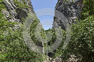 The Gorge of Erma River in sunny summer day