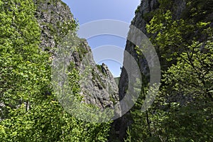 The Gorge of Erma River in sunny summer day