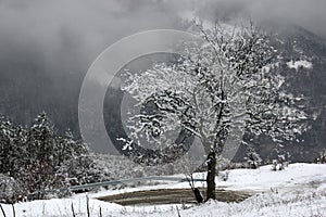 Gorge of Iskar river, near Svoge , Bulgaria - winter picture