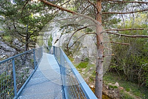 Gorge of La Yecla, Burgos, Spain photo