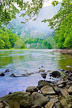 The gorge of mountain river in the morning