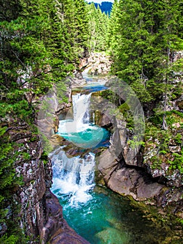 A gorge in the Paneveggio park in Trentino, Italy