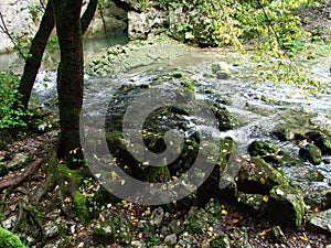 Gorge Rakov Skocjan Valley Rakek or Notranjski regijski park Rakov Skocjan, Notranjska Regional landscape park Rakov Skocjan