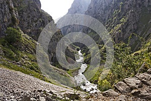 Gorge of River Cares in Asturias