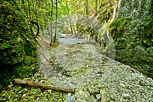 Gorge of Slovak Paradise