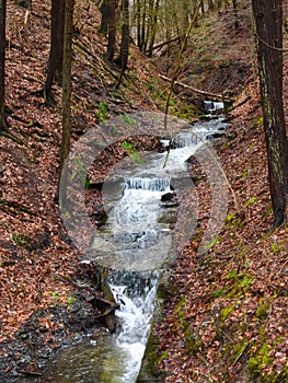 Gorge waterfall from heavy winter runoff by Owasco Lake NYS series 1