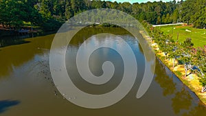 A gorgeous aerial shot of the still green lake water surrounded by lush green trees and plants and autumn colored trees