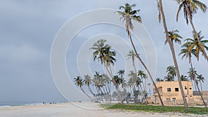 gorgeous al haffa beach in salalah