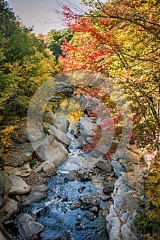 Gorgeous automne riverstream. photo
