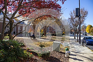 A gorgeous autumn landscape at the Decatur Library with yellow and red trees, lush green trees, buildings and parked cars