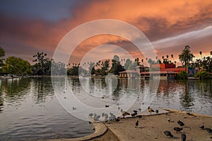 A gorgeous autumn landscape at Lincoln Park with a lake surrounded by lush green palm trees and plant, an orange building