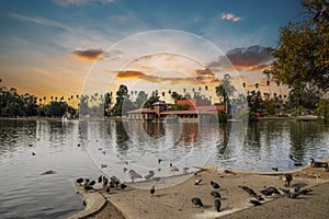 A gorgeous autumn landscape at Lincoln Park with a lake surrounded by lush green palm trees and plant, an orange building