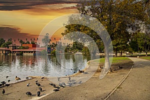 A gorgeous autumn landscape at Lincoln Park with a lake surrounded by lush green palm trees and plant, an orange building